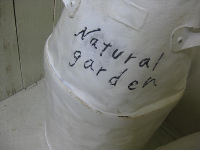 c0085916_5173.jpg