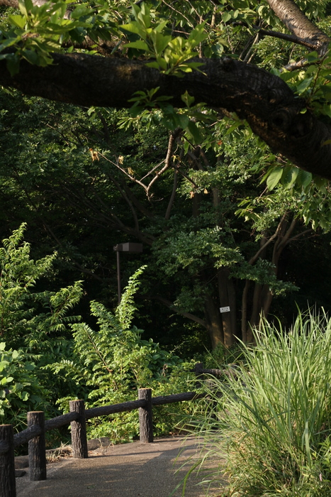 b0165522_1201762.jpg