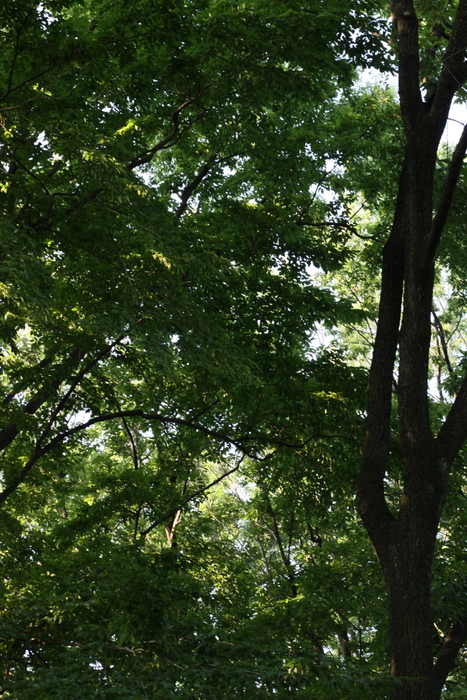b0165522_121311.jpg