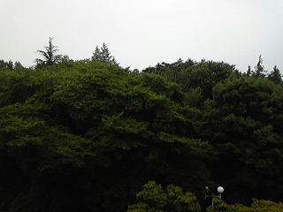 c0038722_9254790.jpg