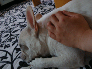 f0232522_8303650.gif