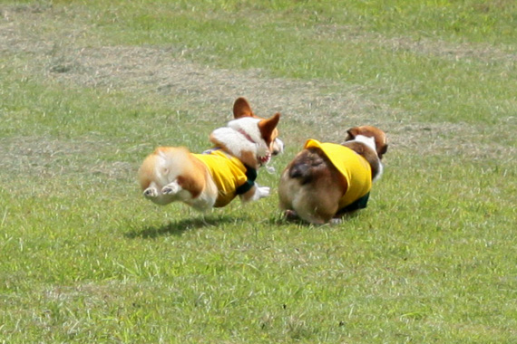 e0071225_2463989.jpg