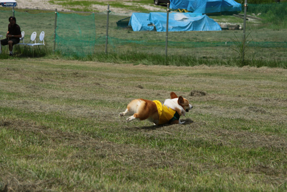 e0071225_253287.jpg