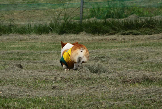 e0071225_2553443.jpg