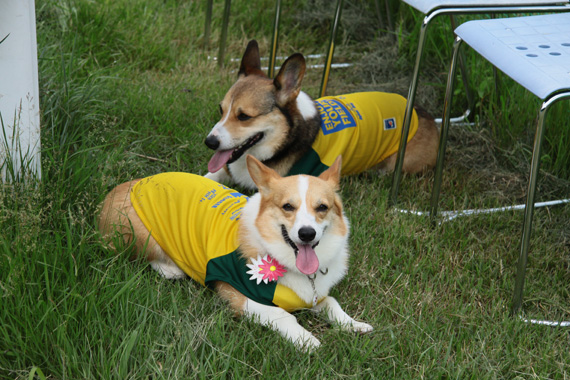 e0071225_3172666.jpg