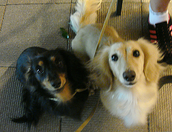 c0117831_20255497.jpg