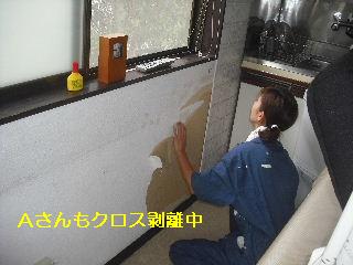 内装工事・・土壁塗り_f0031037_2126662.jpg
