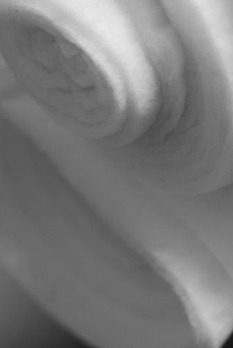 d0120442_1164850.jpg