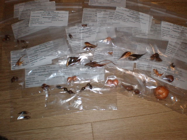 f0236744_02267.jpg