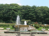 e0172950_0482940.jpg