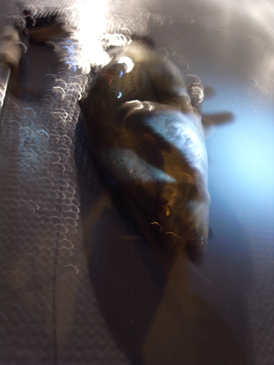 c0153951_18132569.jpg