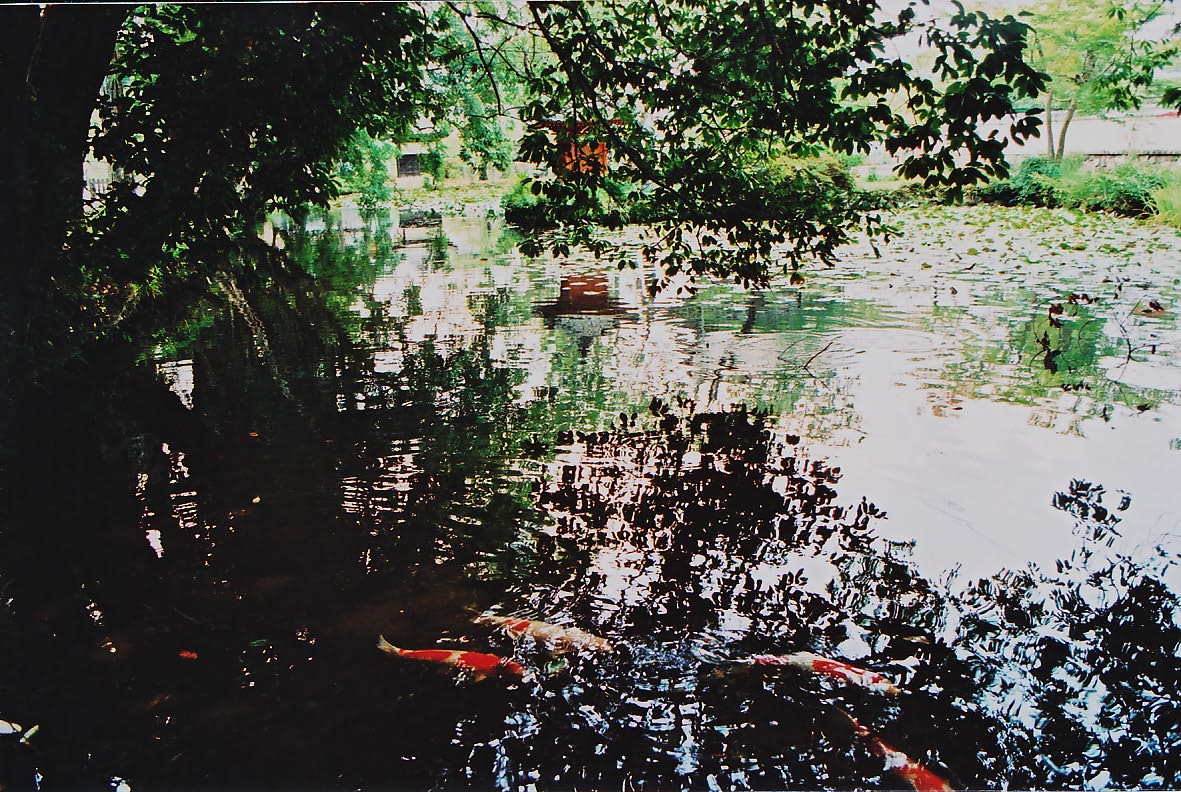e0156251_23929.jpg