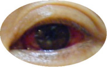 e0129656_22421496.jpg