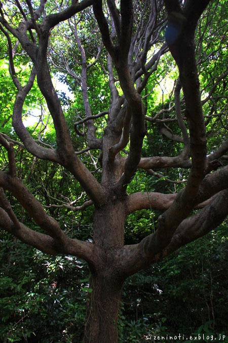 f0147858_17405926.jpg