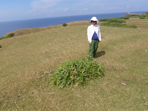 c0180460_1319.jpg