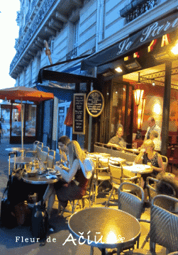 d0169261_161294.gif
