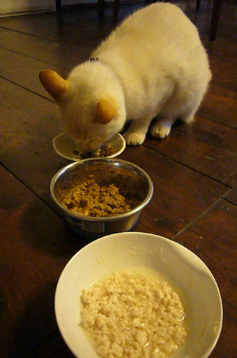 teni-pon._c0153966_21344914.jpg