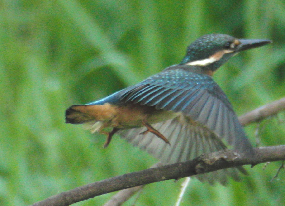 a0053771_134818100.jpg