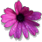 d0171087_18494285.gif