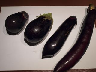 茄子_f0232994_5462568.jpg
