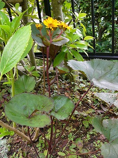 a0123003_18482034.jpg