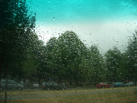 雨の日。_a0159707_21145577.jpg