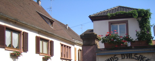 d0135907_21294287.jpg