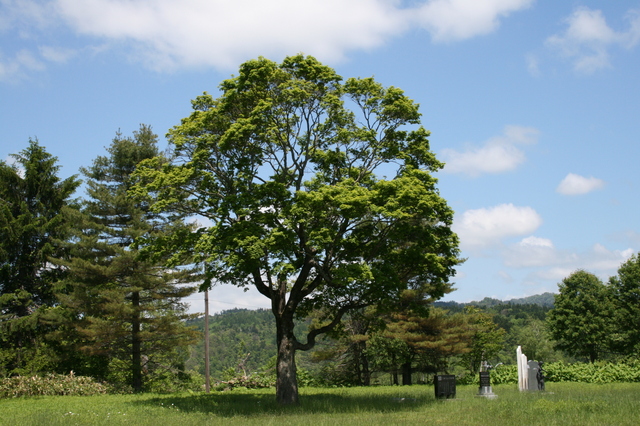 d0119909_21225088.jpg