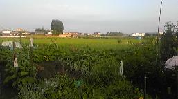 f0207312_6553567.jpg
