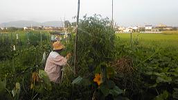 f0207312_7182871.jpg