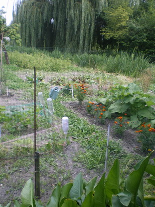 c0124619_61584.jpg