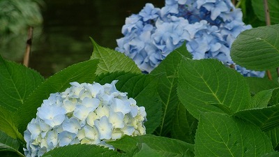 f0170524_1922414.jpg