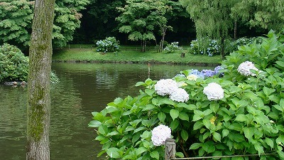 f0170524_1923074.jpg