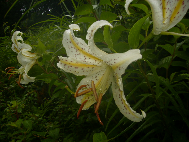 f0204425_119717.jpg