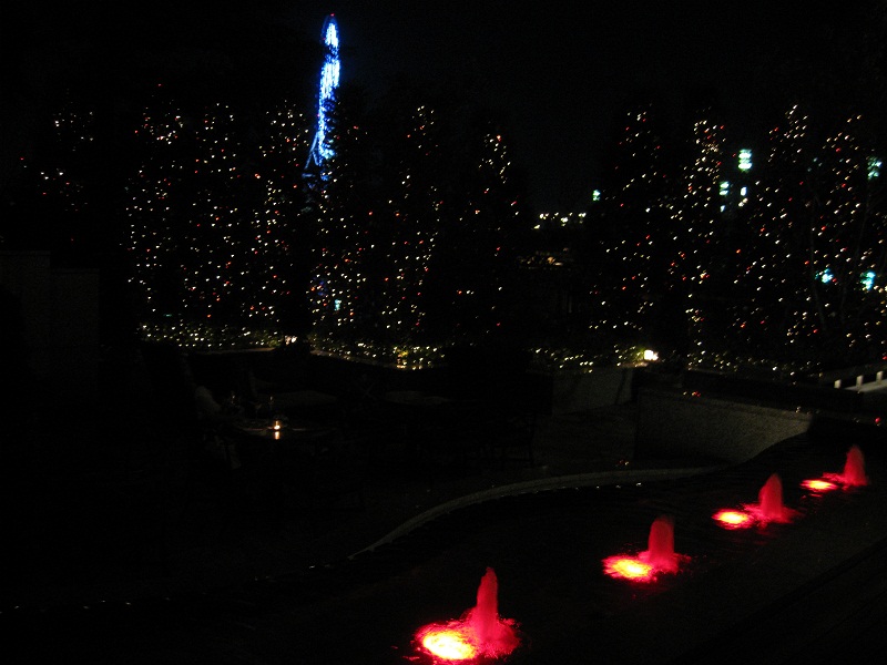 会員制リゾート@TOKYOベイコートクラブHOTEL&SPA RESORT_a0019032_10184760.jpg