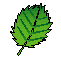 d0017632_22434559.gif