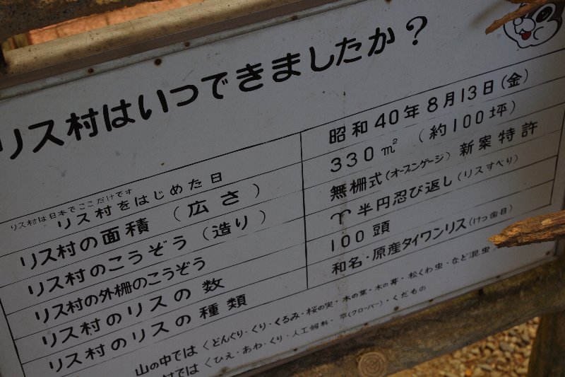 c0113733_15547100.jpg