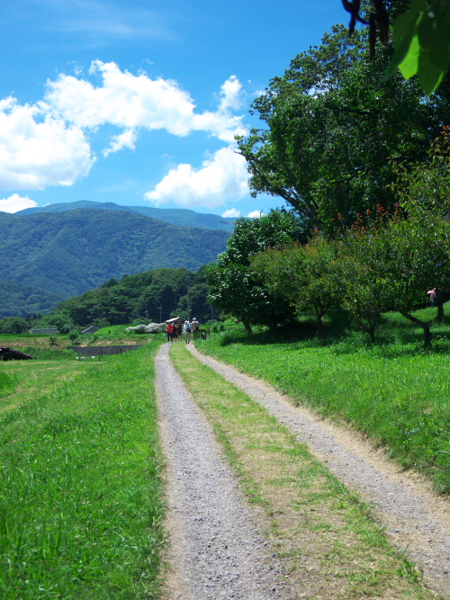 d0125535_13344061.jpg