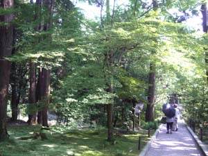 e0110940_6544146.jpg