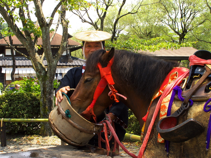 夏の思い出　日光江戸村_d0029744_131214.jpg