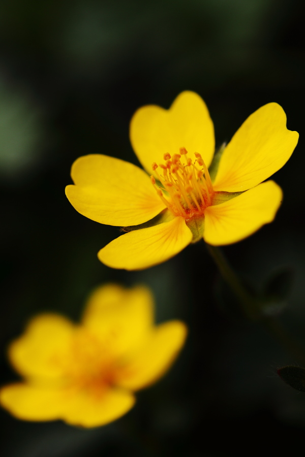 b0157849_9405850.jpg
