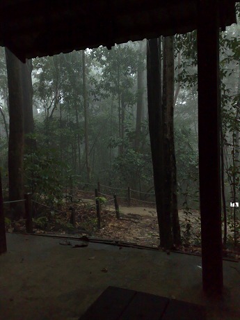 トレッキング in シンガポール （０９） Bukit Timah Nature Park １周_e0195952_13123565.jpg