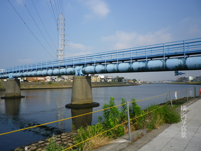 f0230961_55409.jpg