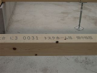 準備完了_d0155273_12173531.jpg