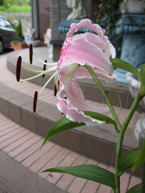 b0182884_23282328.jpg