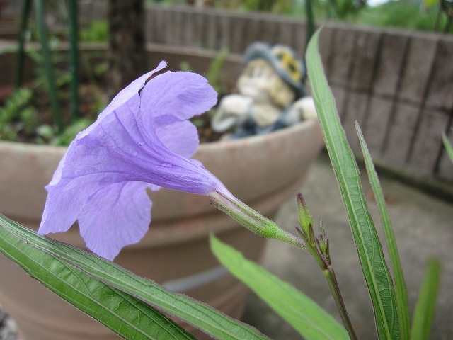 b0182884_4361552.jpg