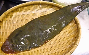 b0068687_2227630.jpg