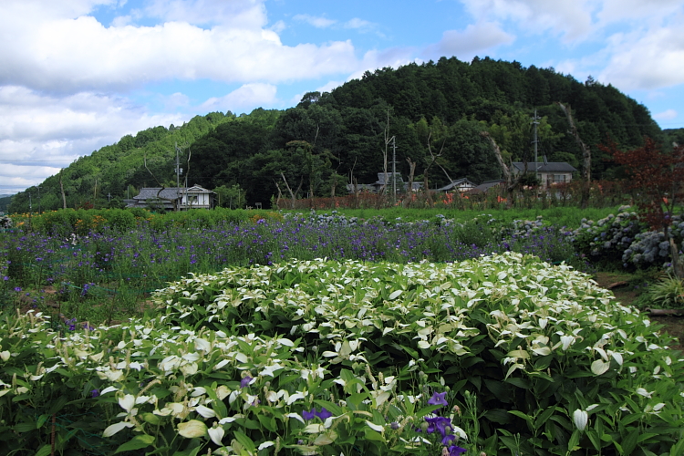 谷性寺_e0051888_2150249.jpg