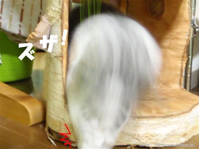 a0159490_13365937.jpg