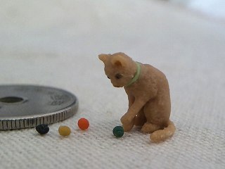 ちょいちょいの猫 キミドコロ